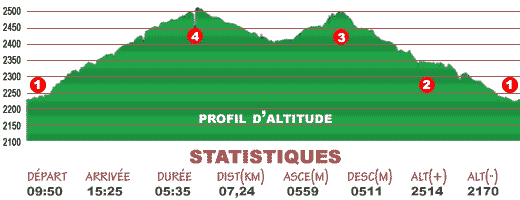 StatCampanaCampana.gif