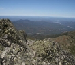 img_1873.jpg