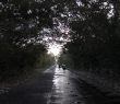 wIMG_9854