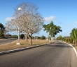 wIMG_0509