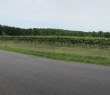 wIMG_7381