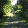 wIMG_7784