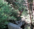 IMG_3784.jpg