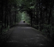 wIMG_3592