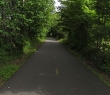 wIMG_3622