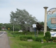 wIMG_3719