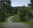 wIMG_3937