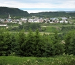 wIMG_3961