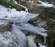 img_2154.jpg