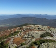 IMG_4289.jpg