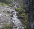 IMG_4395.jpg