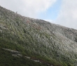 IMG_4448.jpg