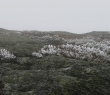 IMG_4205.jpg