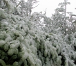 IMG_4216.jpg