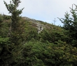 IMG_4245.jpg
