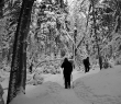 IMG_2708
