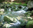 IMG_3908.jpg