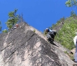 pal040906_04.jpg