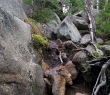 IMG_4625.jpg