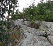 IMG_4631.jpg