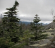 IMG_4640.jpg
