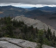 IMG_4664.jpg