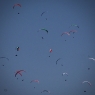IMG_1440_100_8800