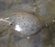04IMG_0622