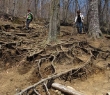 05IMG_0418