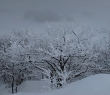 IMG_5043p