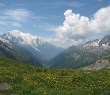 img_2809.jpg