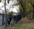 041011_img_0941.jpg