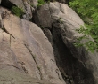 WIMG_3180