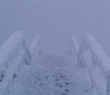051119w2278.jpg